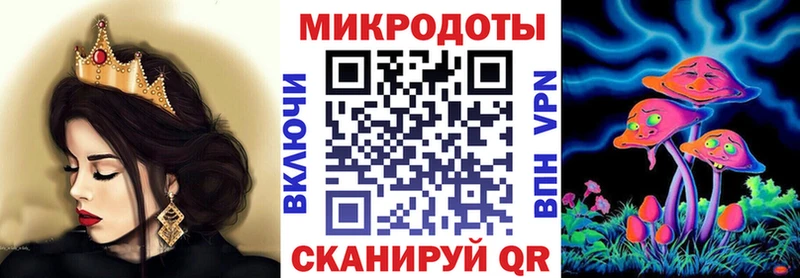 Галлюциногенные грибы Psilocybe  Починок 